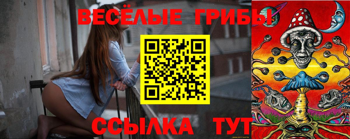 Большой Камень  Псилоцибиновые грибы прущие грибы  Вход с VPN 